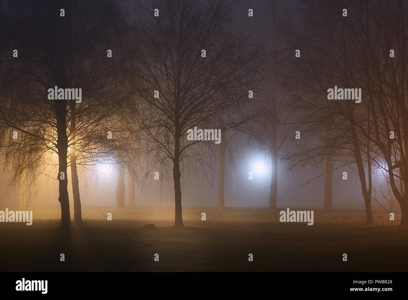 Nuit mystérieux brouillard Banque D'Images