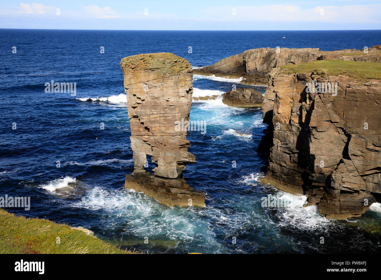 Stromnessr Yesnaby, falaises, Orcades, Ecosse, Highlands, Royaume-Uni Banque D'Images