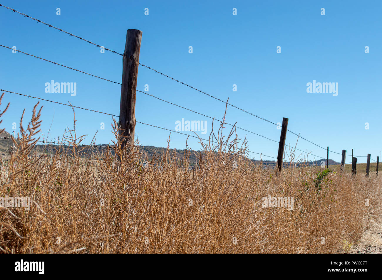 Vieille clôture en fil barbelé en Californie domaine de l'herbe Banque D'Images