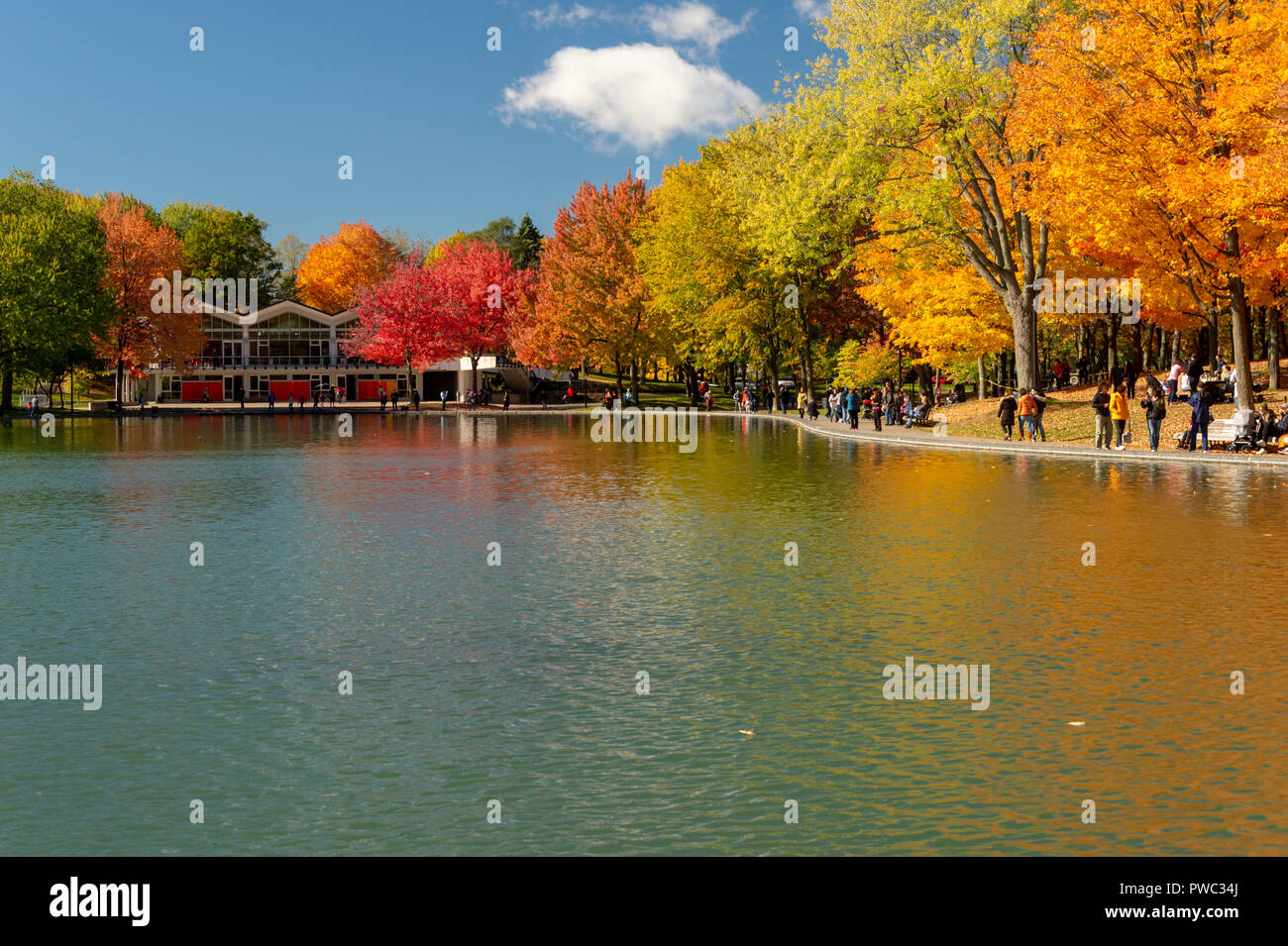 Beaver lake Banque de photographies et d'images à haute résolution - Alamy