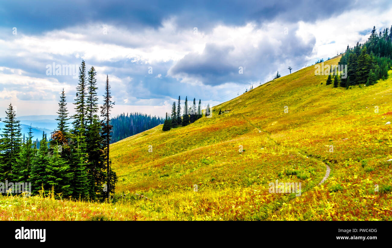 Randonnée à travers les prairies alpines en couleurs d'automne sur la montagne Tod près du village de Sun Peaks dans la Shuswap Highlands of British Columbia, Canada Banque D'Images