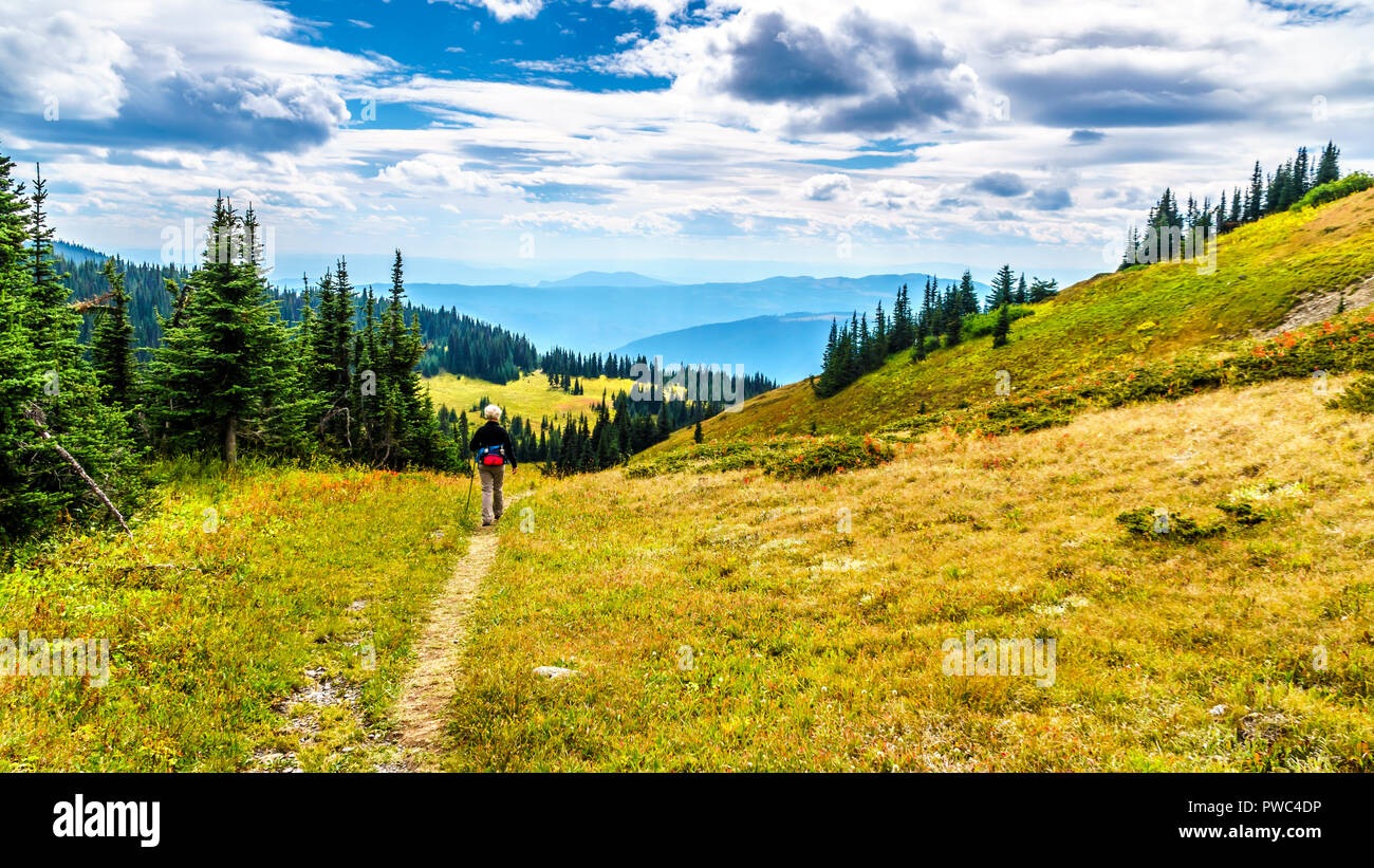 Senior Woman randonnée à travers les prairies alpines en couleurs d'automne sous ciel nuageux sur Tod Mountain près du village de Sun Peaks dans la région de Shuswap de Br Banque D'Images