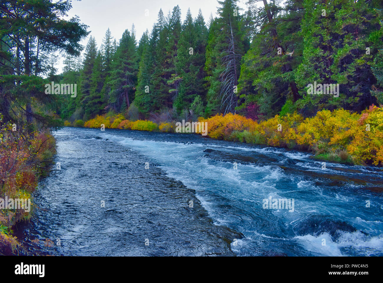 L'automne à Metolius River dans le centre de l'Oregon Banque D'Images