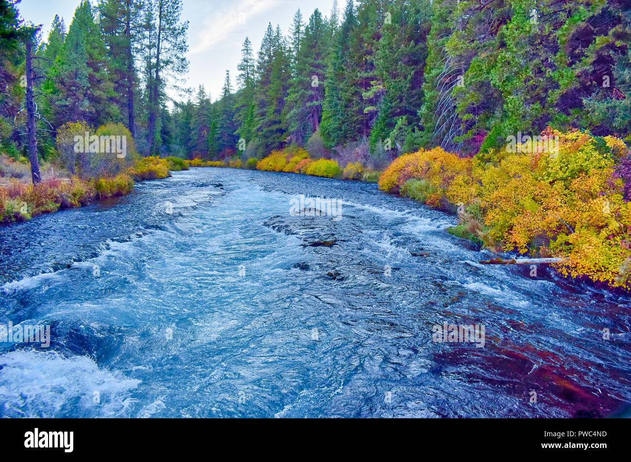 L'automne à Metolius River dans le centre de l'Oregon Banque D'Images