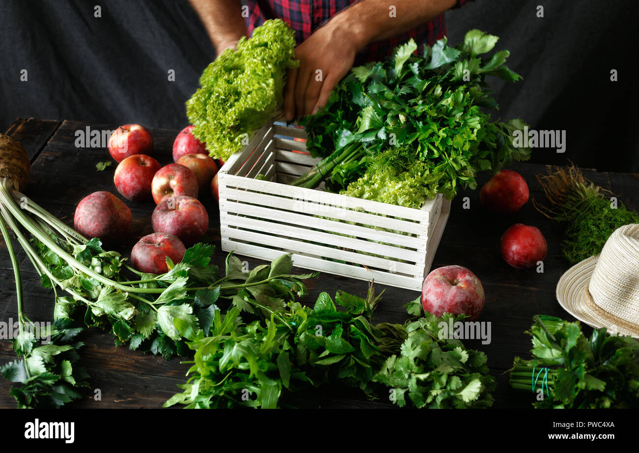 Agriculteur avec des herbes en boîte bois concept garvesting Banque D'Images