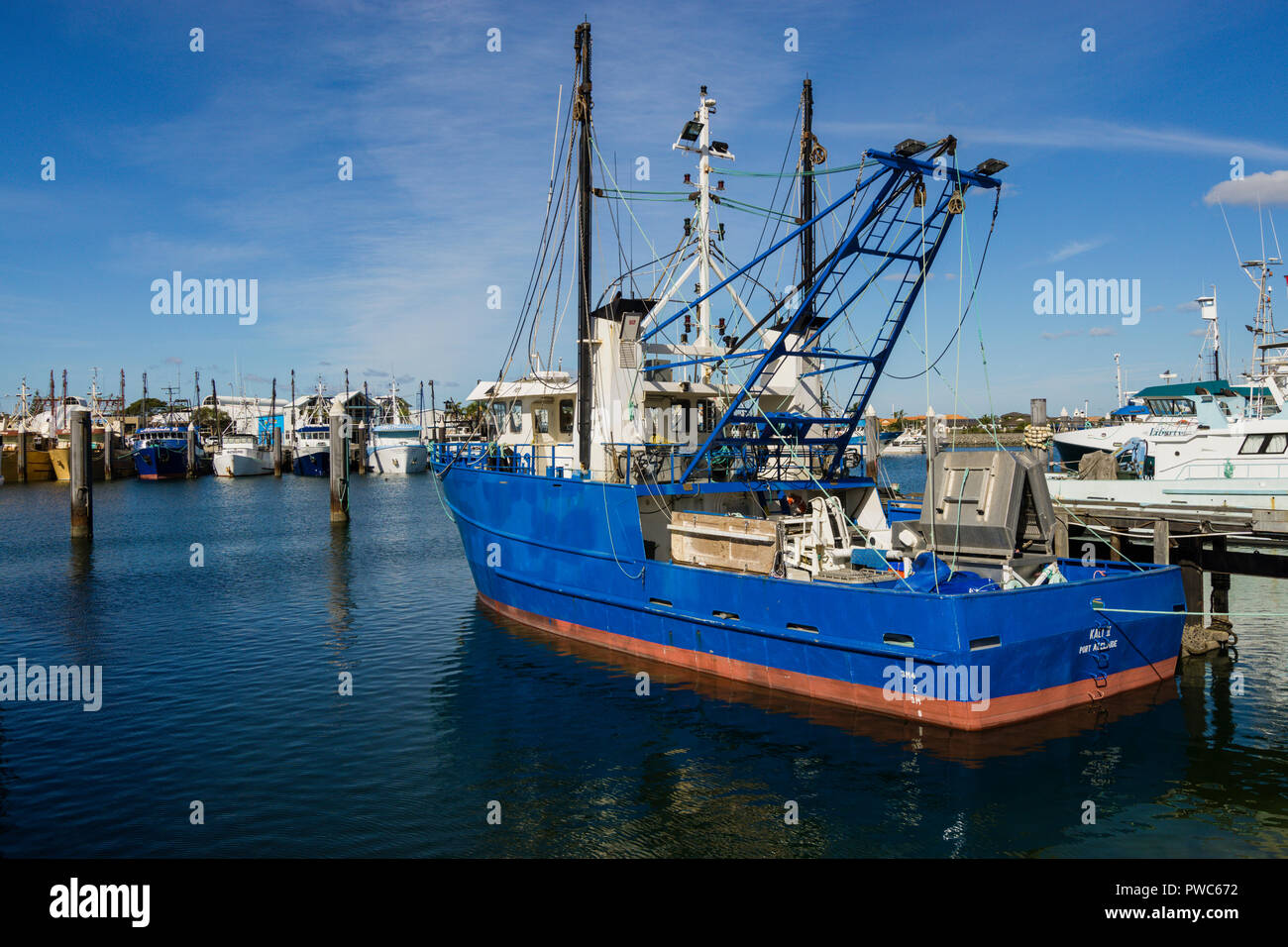 Le thon et les chalutiers amarrés au quai à Port Lincoln South Australia Banque D'Images