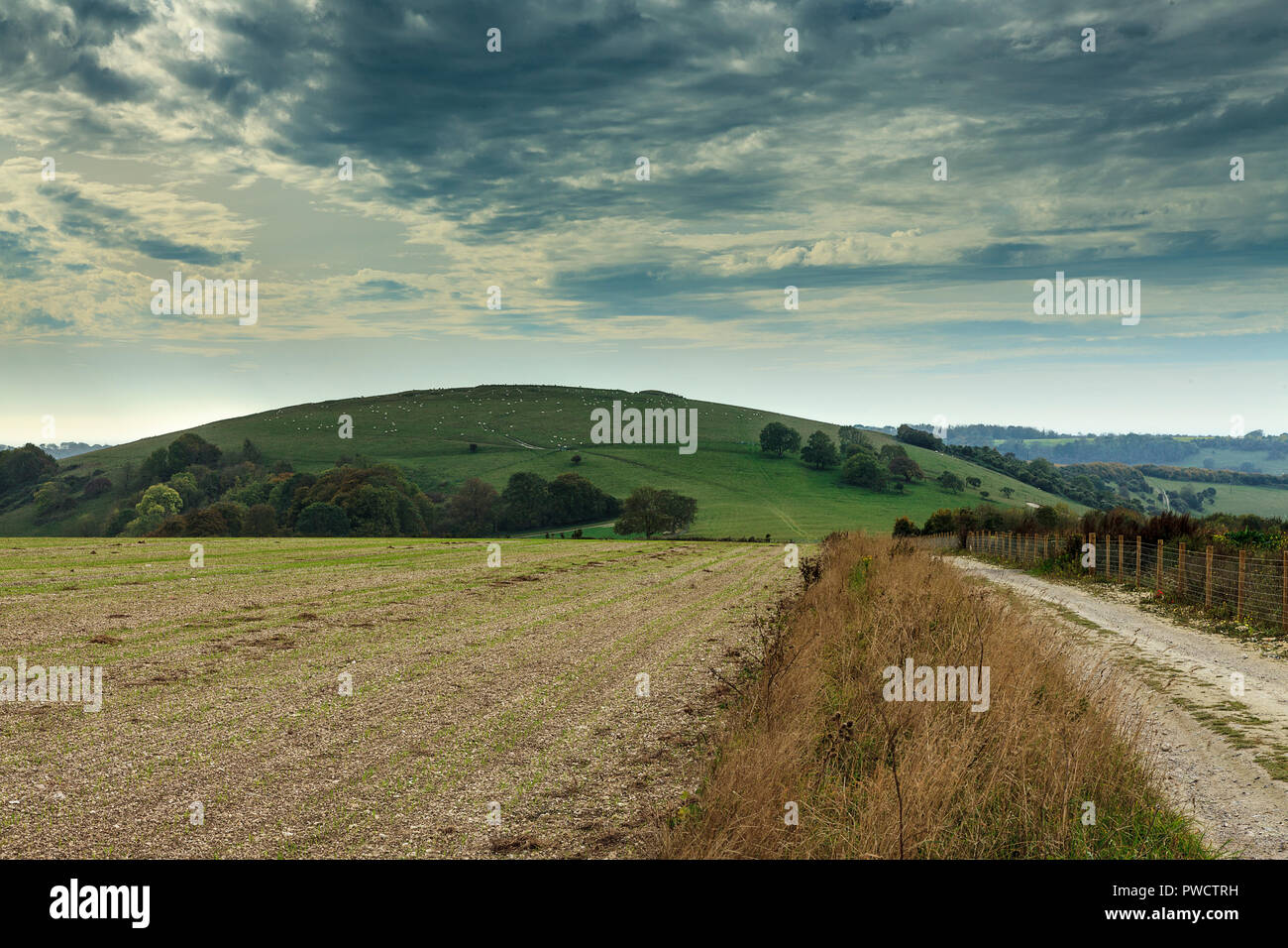 Harrow Hill, près de correctifs, est un site archéologique qui se trouve dans l'ouest de Sussex chalk hills Banque D'Images