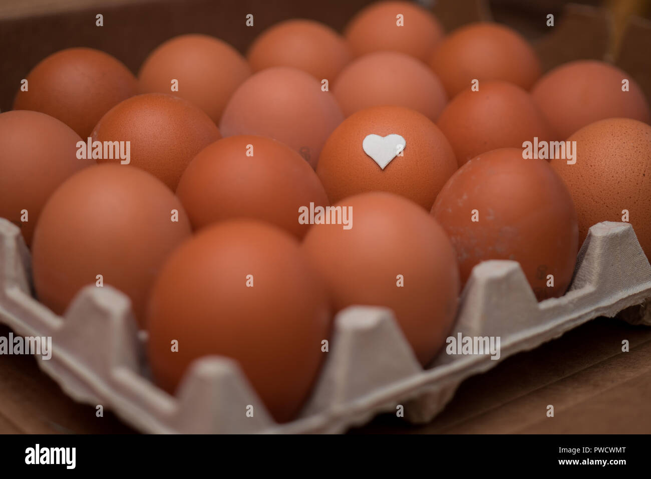 Oeufs de poule dans une cage en papier sur une étagère de magasin. Banque D'Images