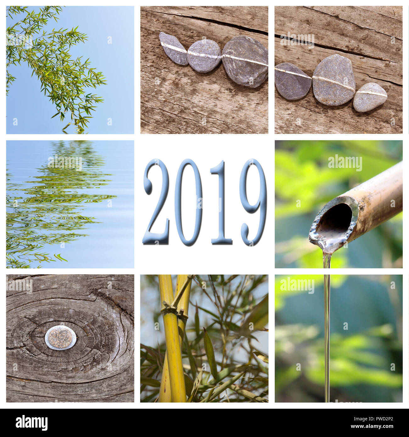 2019, bambou zen square collage Banque D'Images