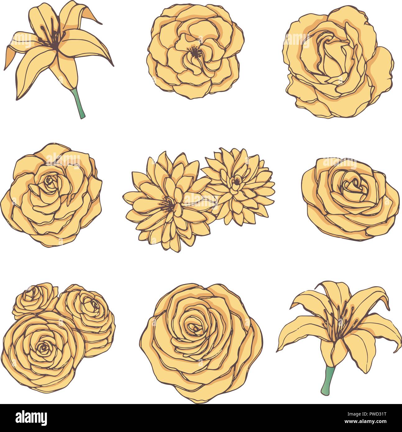 Hand drawn vector set de rose jaune, lys, pivoine et contour chrysanthèmes isolé sur le fond blanc. Décoration botanique Vintage elemen Illustration de Vecteur