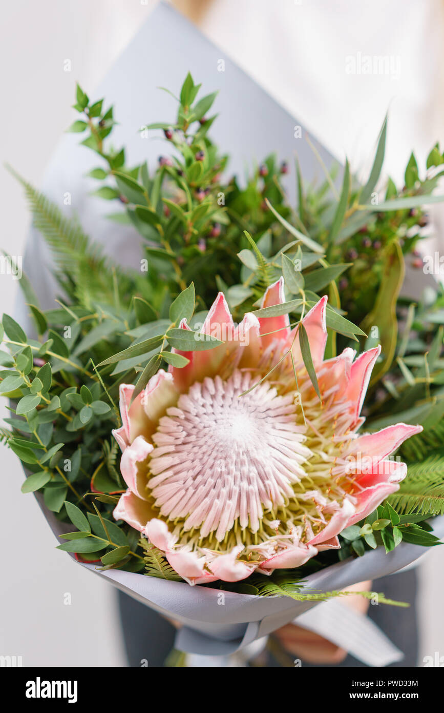 Bouquet luxuriant de King Protea, eucalyptus et d'autres verts. Jeune fille tenant une avec différents arrangements de fleurs de couleurs. mur blanc. Banque D'Images