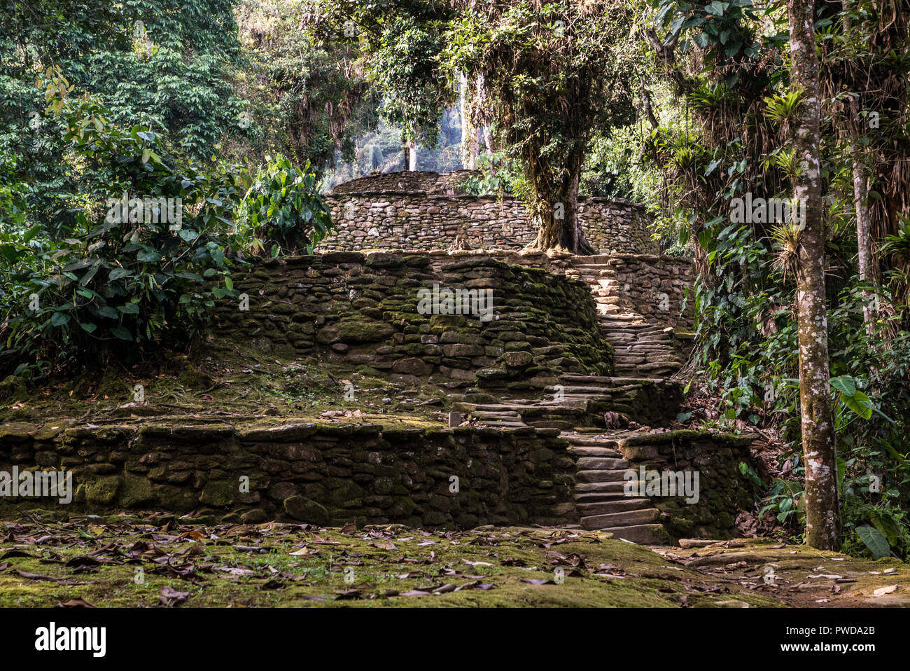 Terrasse en ruines dans la jungle Banque D'Images