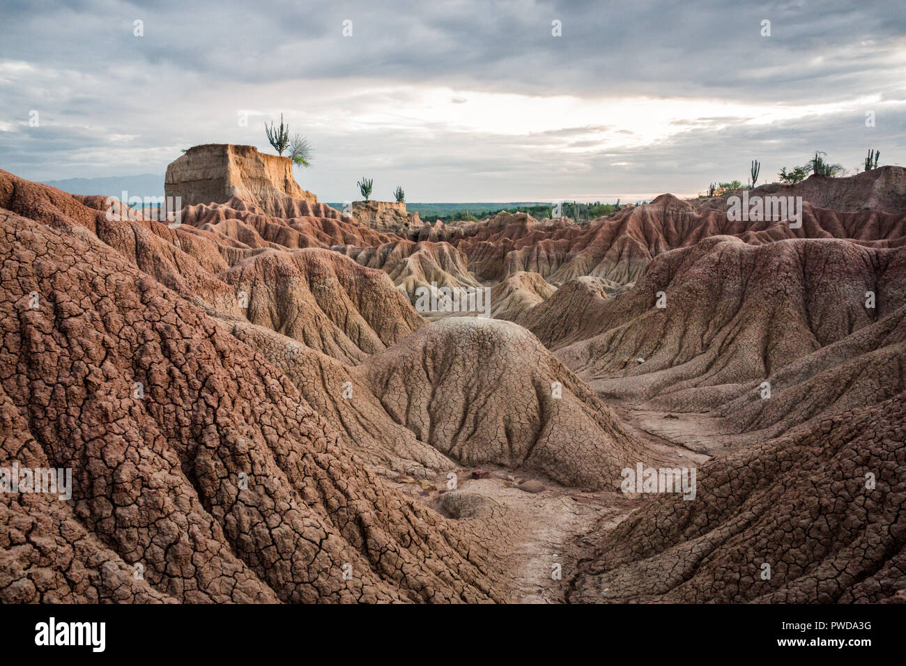 Désert de la Tatacoa, dans le centre de la Colombie Banque D'Images