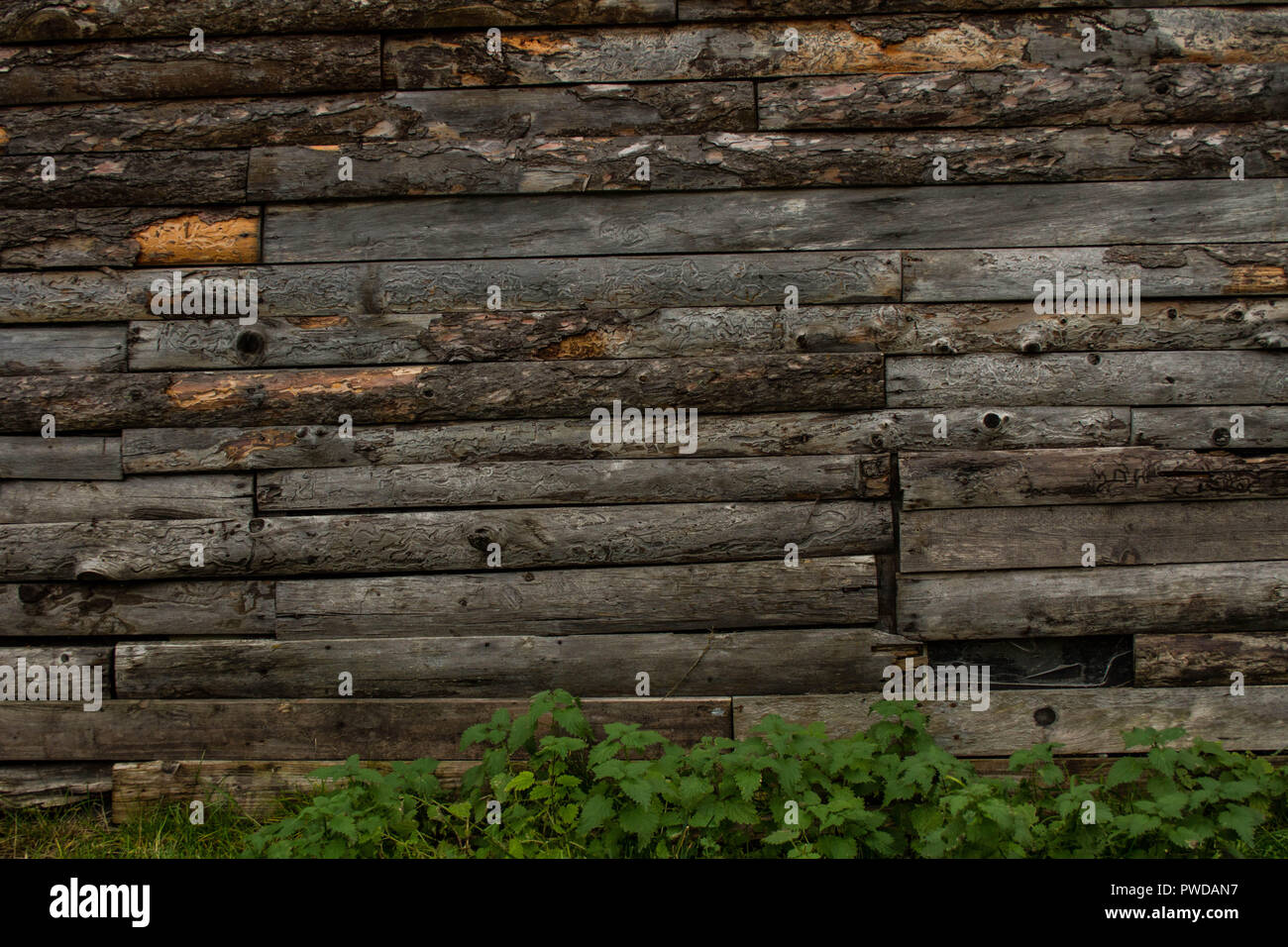Le bois d'une autre brique dans le mur Banque D'Images