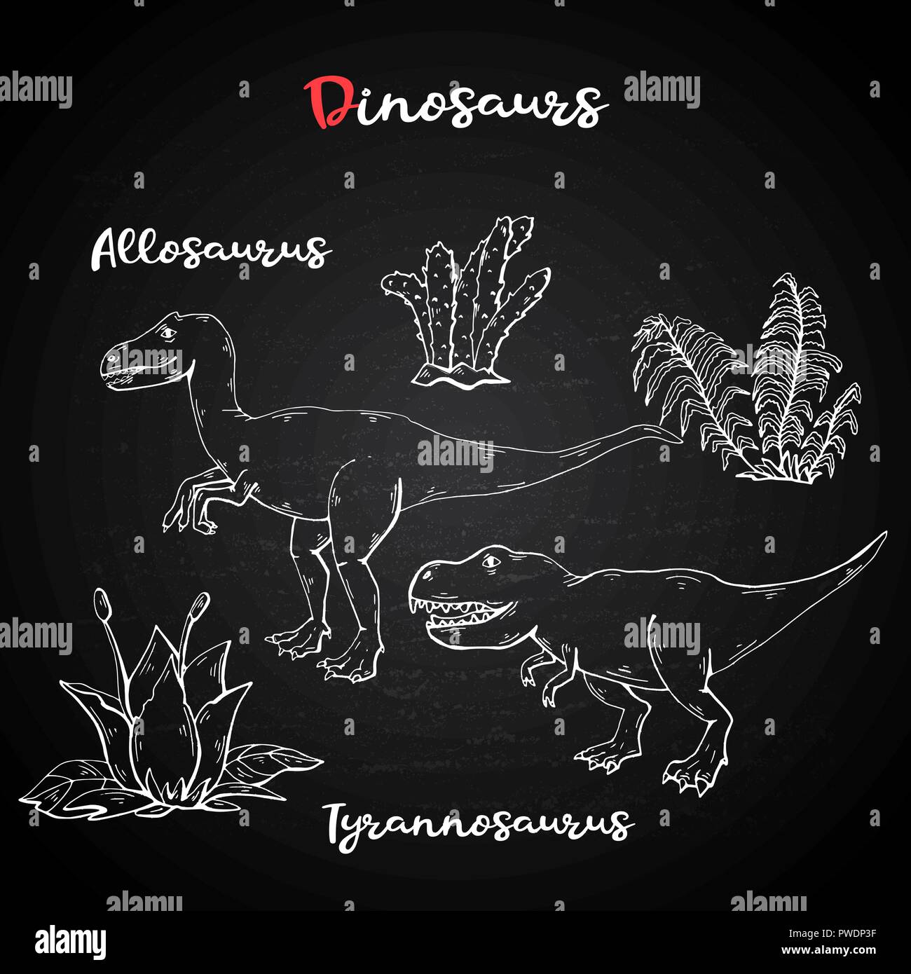 L'Allosaurus Tyrannosaurus et vecteur de l'usine et de la pierre sur la craie tableau noir. Illustration de Vecteur