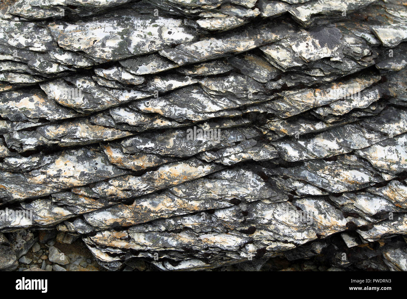 Surface shinning et la texture de roche métamorphique à grain fin Banque D'Images