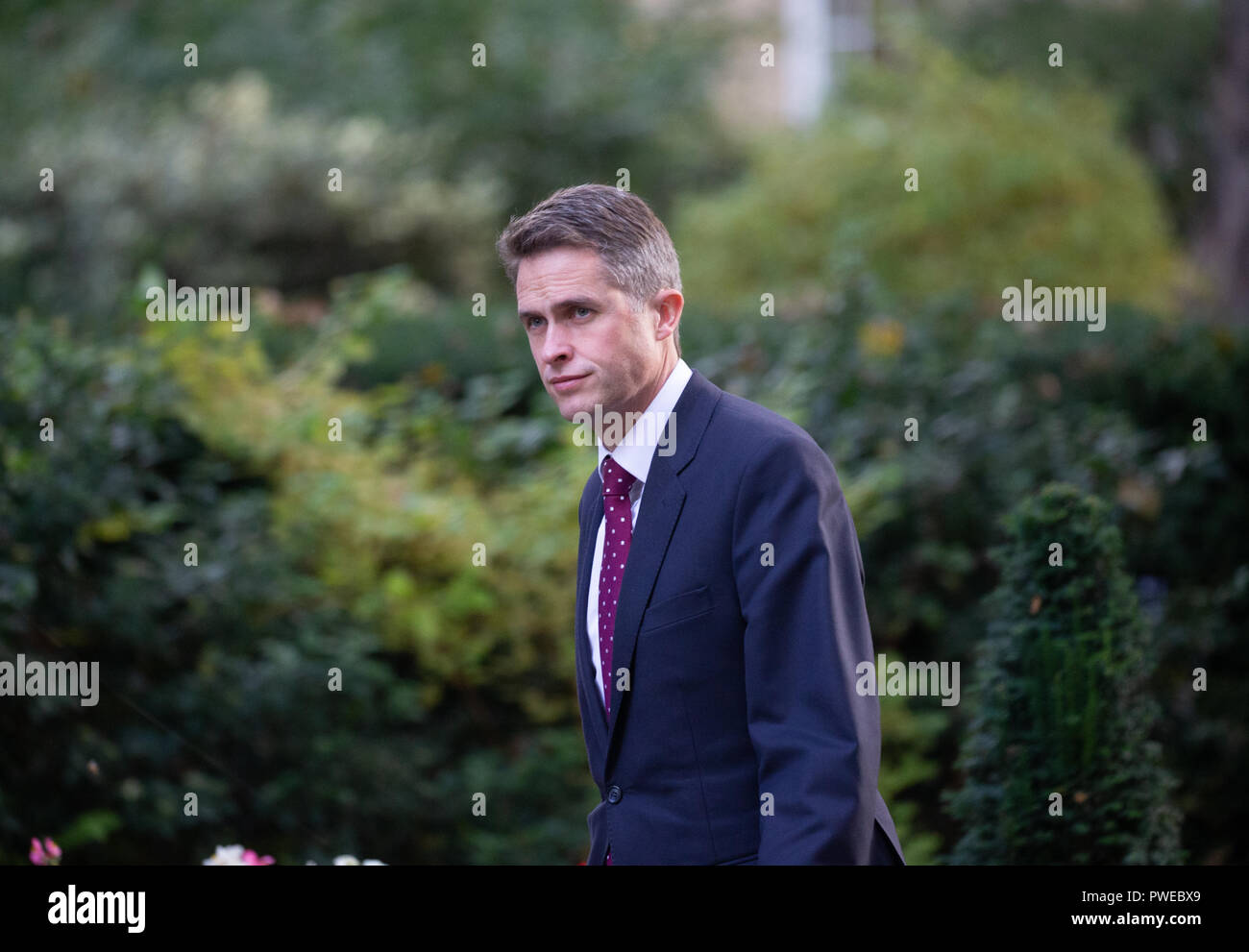 Londres, Royaume-Uni. 16 Oct 2018. Gavin Williamson, Secrétaire d'État à la défense, arrive pour la réunion du Cabinet Crédit : Tommy Londres/Alamy Live News Banque D'Images