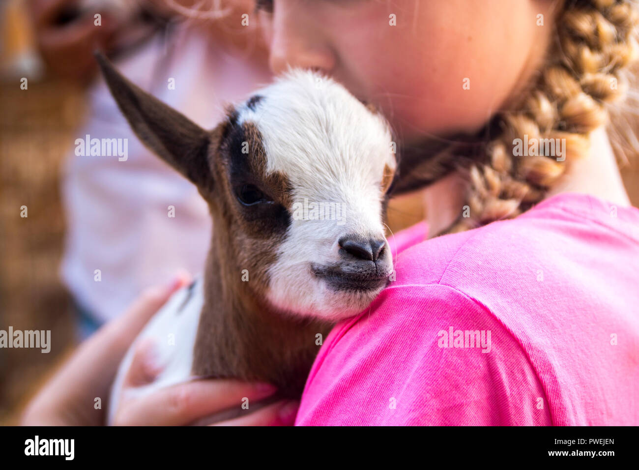 Libre D Un Enfant Tenant Un Bebe Chevre Chevre Blanc Marron Nouveau Ne L Amour La Nature La Notion D Animaux De Ferme Bebe Bebe Animal Peu De Choses Montrant L Amour Photo Stock Alamy