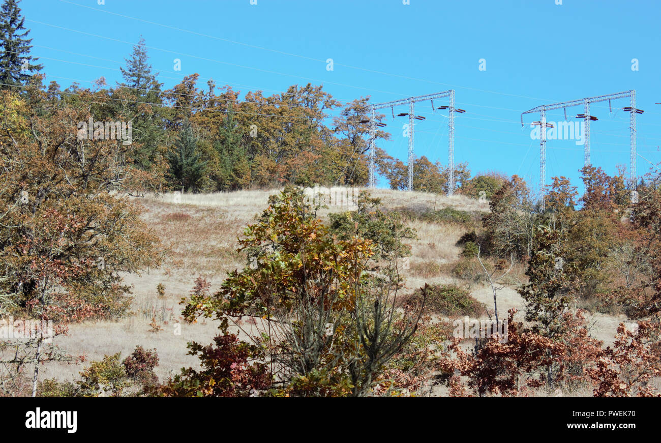 Tours Powerline dominent le paysage de ce pays. pristine Banque D'Images