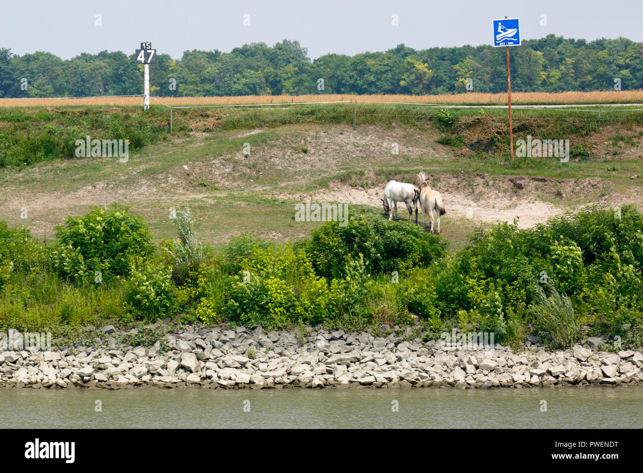 Signe de l'information, le kilométrage du Danube, rivière 1547 kilomètres de gauche à l'embouchure du Danube, la navigation, la rive du Danube, rivière paysage près de Harta, Hongrie, le sud de la Hongrie, la plaine pannonienne, le sud de Grande Plaine hongroise, Bacs-Kiskun County Banque D'Images