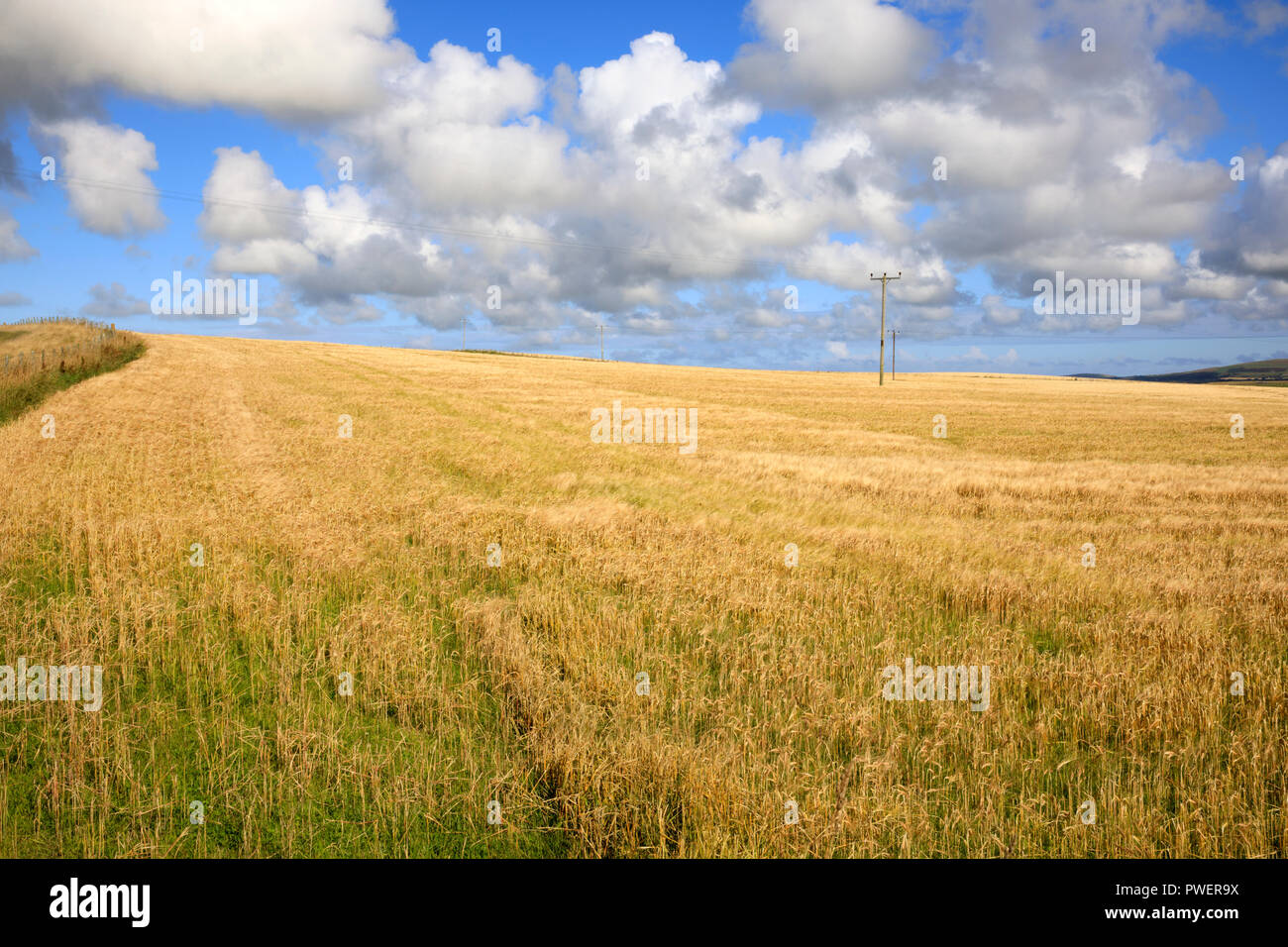 Un paysage typique dans les îles Orcades, Orkney, Scotland, Highlands, Royaume-Uni Banque D'Images