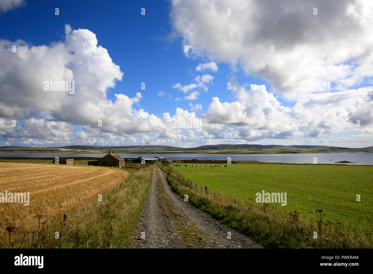 Un paysage typique des îles Orcades, Orkney, Scotland, Highlands, Royaume-Uni Banque D'Images