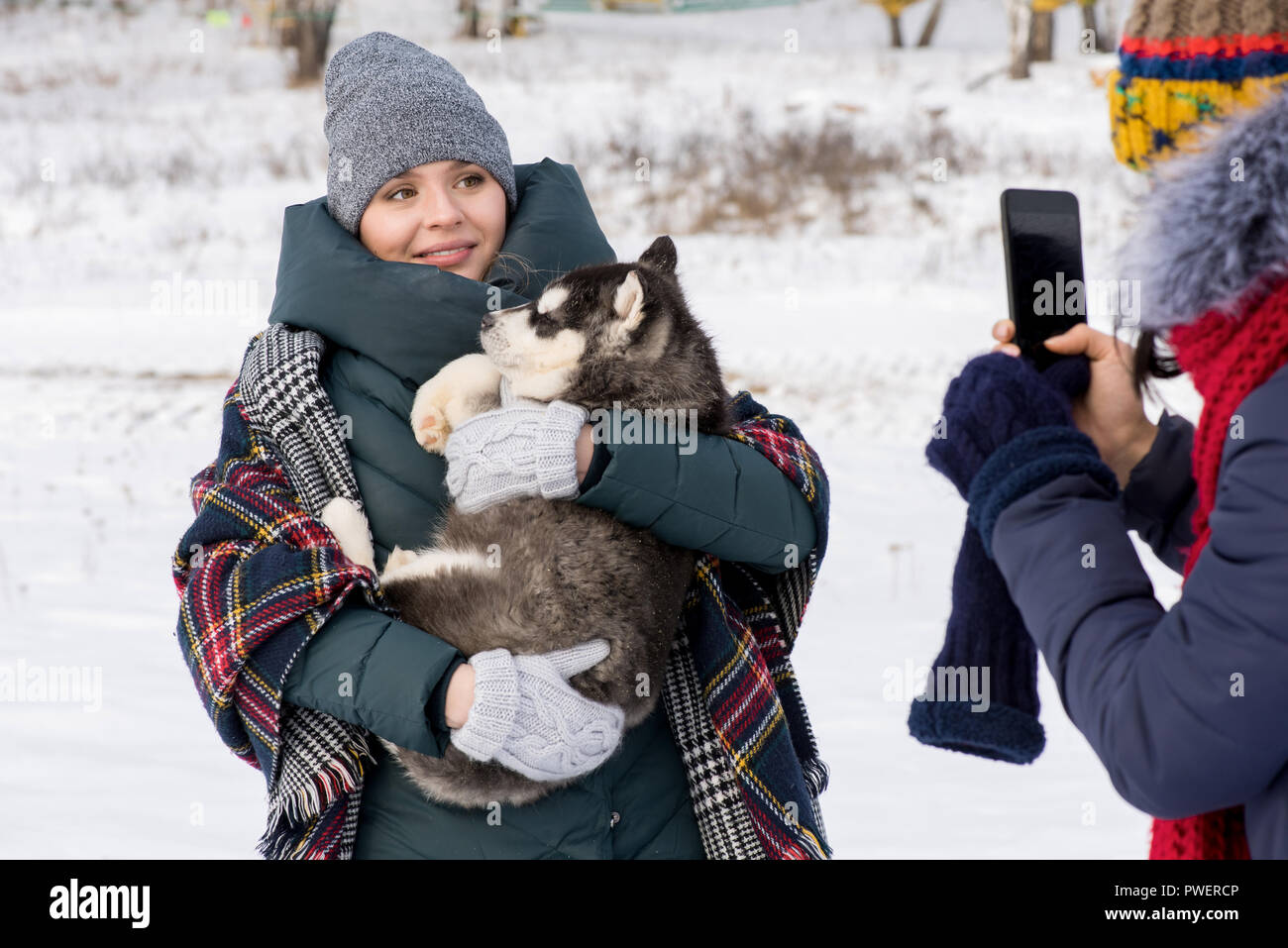 Taille portrait de jeune femme moderne holding mignon chiot Husky et looking at smartphone appareil photo avec prise de photo de son ami à l'extérieur en hiver Banque D'Images