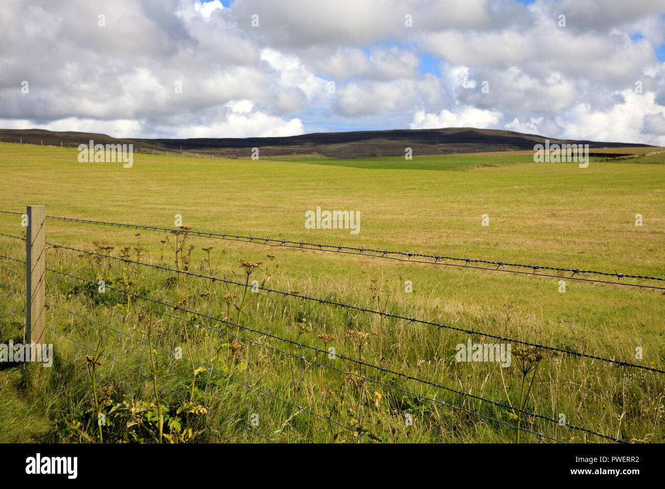 Un paysage typique dans les îles Orcades, Orkney, Scotland, Highlands, Royaume-Uni Banque D'Images