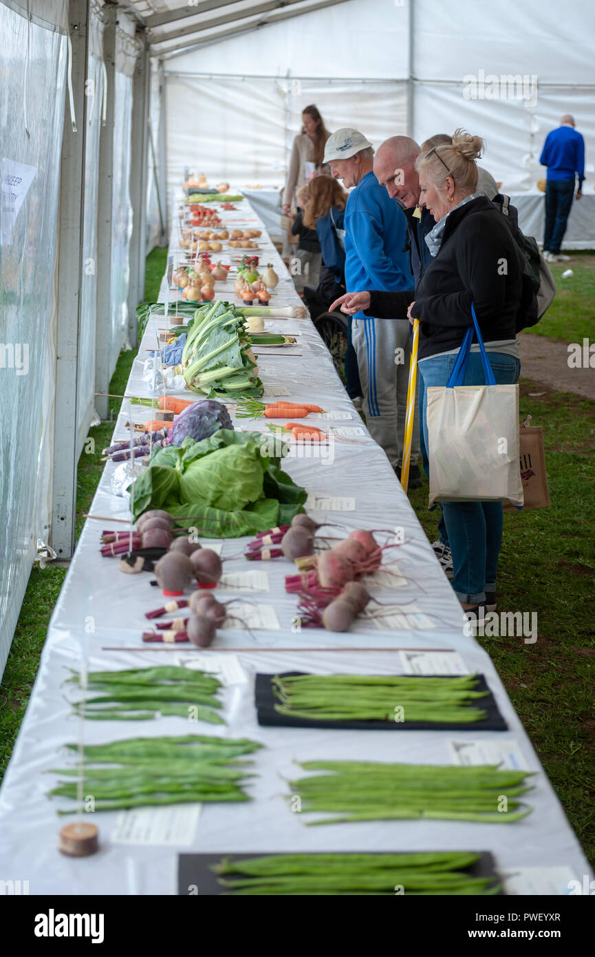 Les personnes à la recherche de légumes à afficher sur une table lors d'un concours de légumes dans une ville spectacle. Banque D'Images