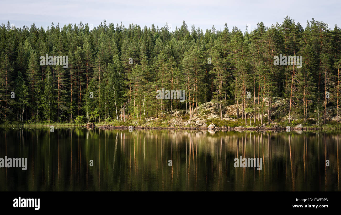 Forêt au lac Luoma dans le Parc National de Finlande, Helvetijärven Banque D'Images