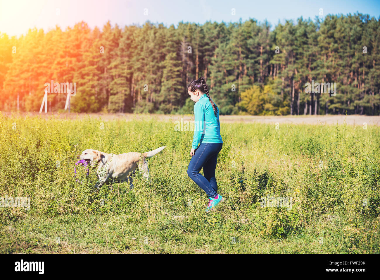 Jeune fille à la promenade de chiens dans le champ près de la forêt Banque D'Images