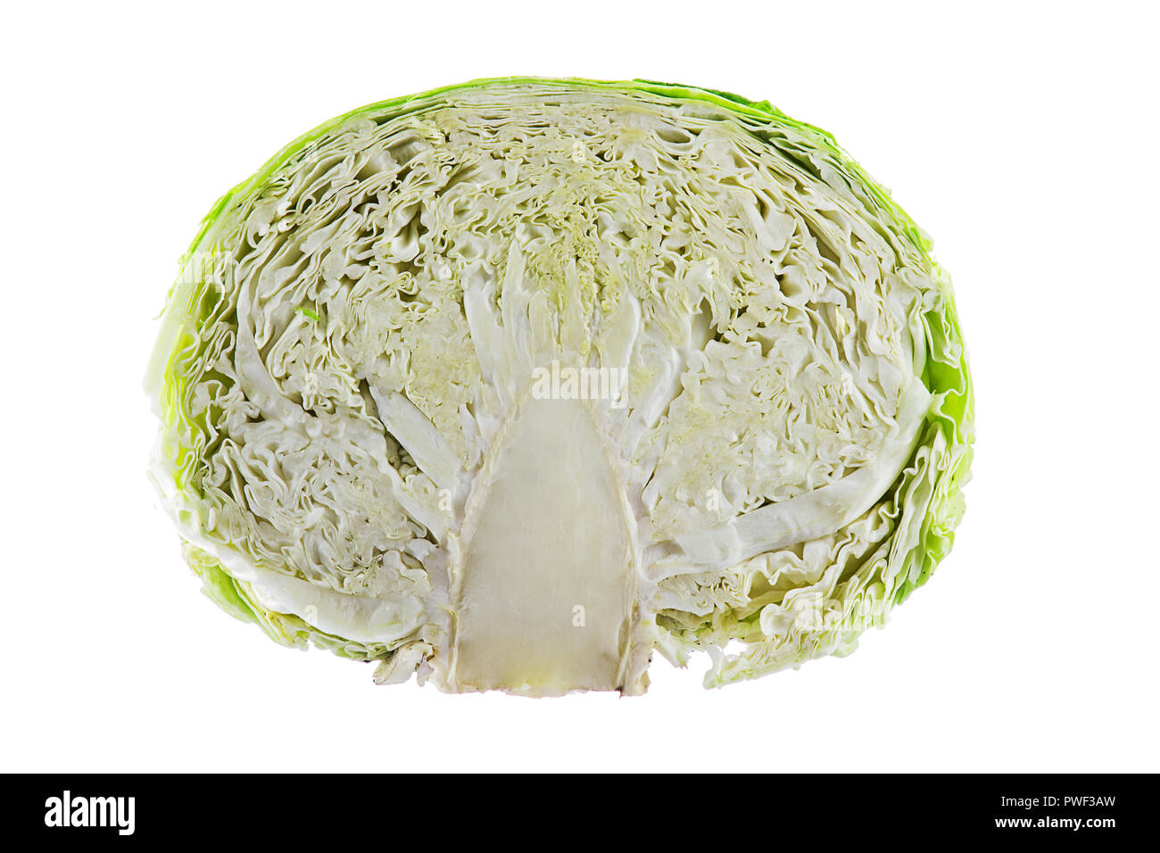 Légumes chou vert isolé sur fond blanc. Banque D'Images
