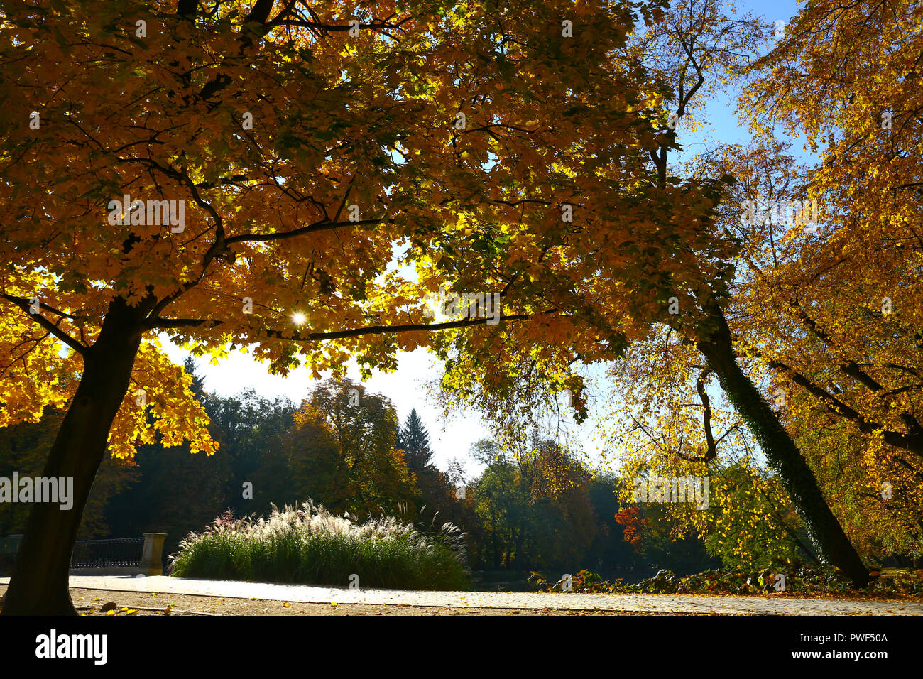 Pologne : couleurs d'Automne dans le parc Lazienki Krolewskie (Royal de Lazienki Park) Banque D'Images