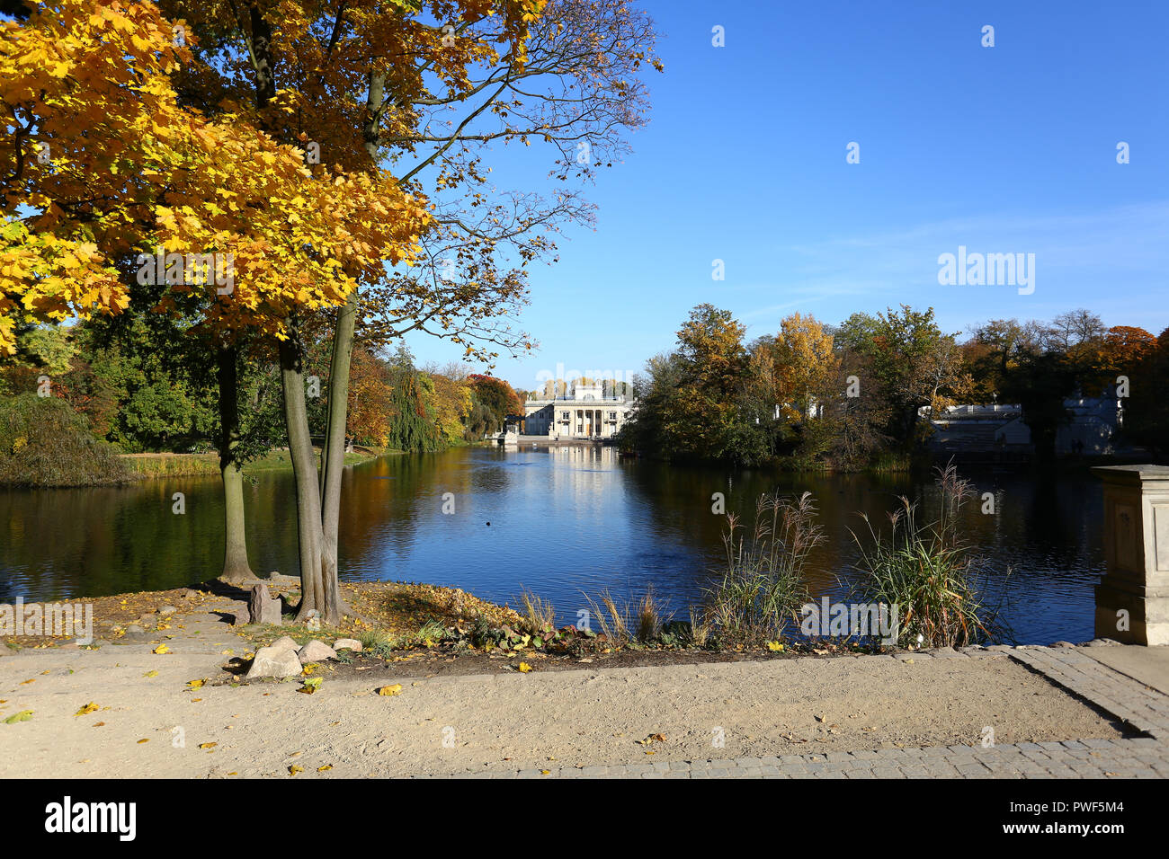 Pologne : couleurs d'Automne dans le parc Lazienki Krolewskie (Royal de Lazienki Park) Banque D'Images