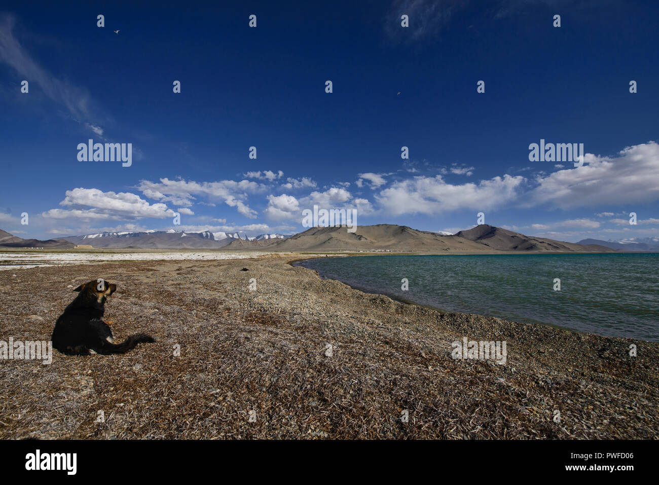Aux côtés des dépôts de sel sur le lac Karakul Pamir Highway, Haut-badakhchan, Tadjikistan Banque D'Images