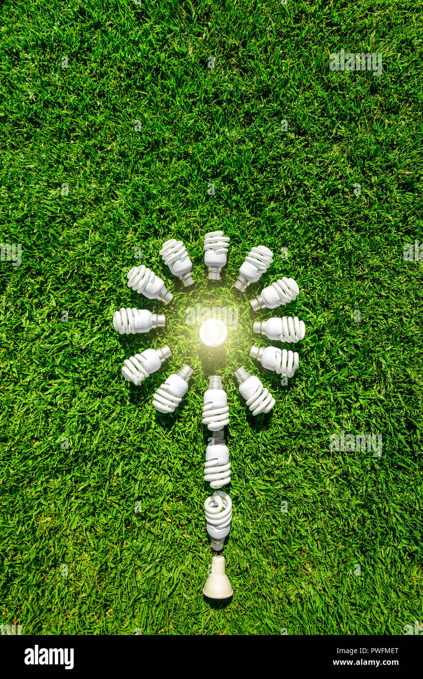 Des ampoules basse consommation d'énergie sur l'herbe formant fleur. Source d'énergie verte concept Banque D'Images Des ampoules basse consommation d'énergie sur l'herbe formant fleur. Source d'énergie verte concept Banque D'Images