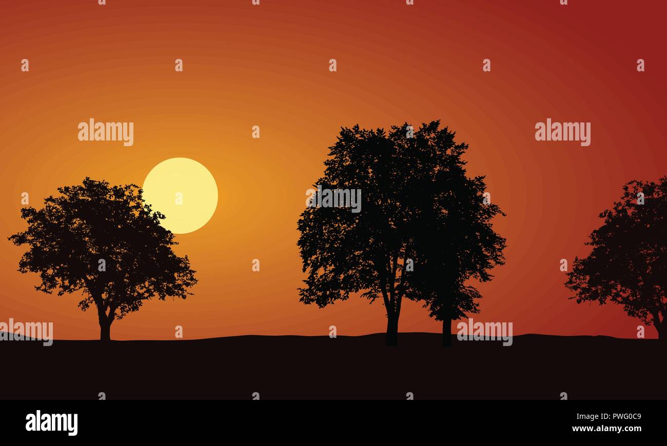 Illustration réaliste avec des silhouettes d'arbres décidus, montant ou coucher de soleil sur matin ou soir Ciel orange - vector Illustration de Vecteur