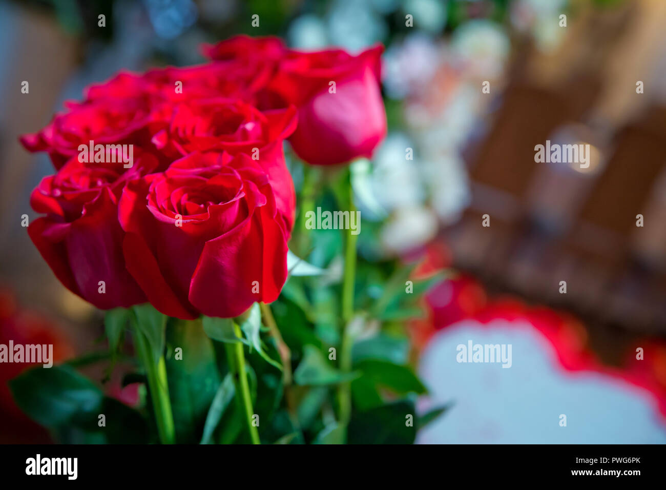 Fleurs roses rouges avec valentine festival et beau bouquet flou contexte . 8 mars Banque D'Images