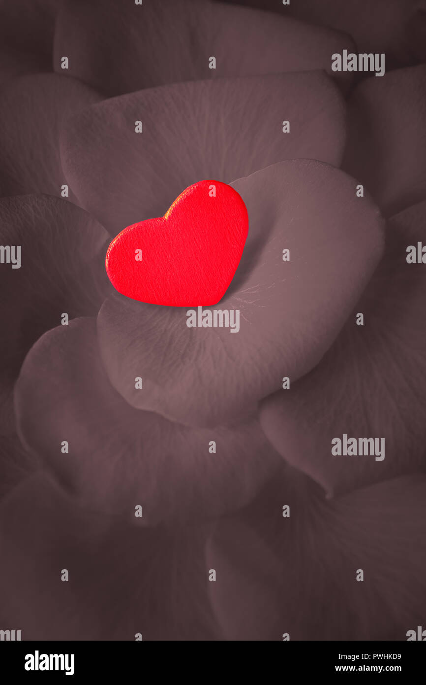 Petit cœur rouge sur les pétales de rose. Texture de fond romantique pour un jour de mariage ou de saint Valentin carte de voeux, effet désaturées. Banque D'Images