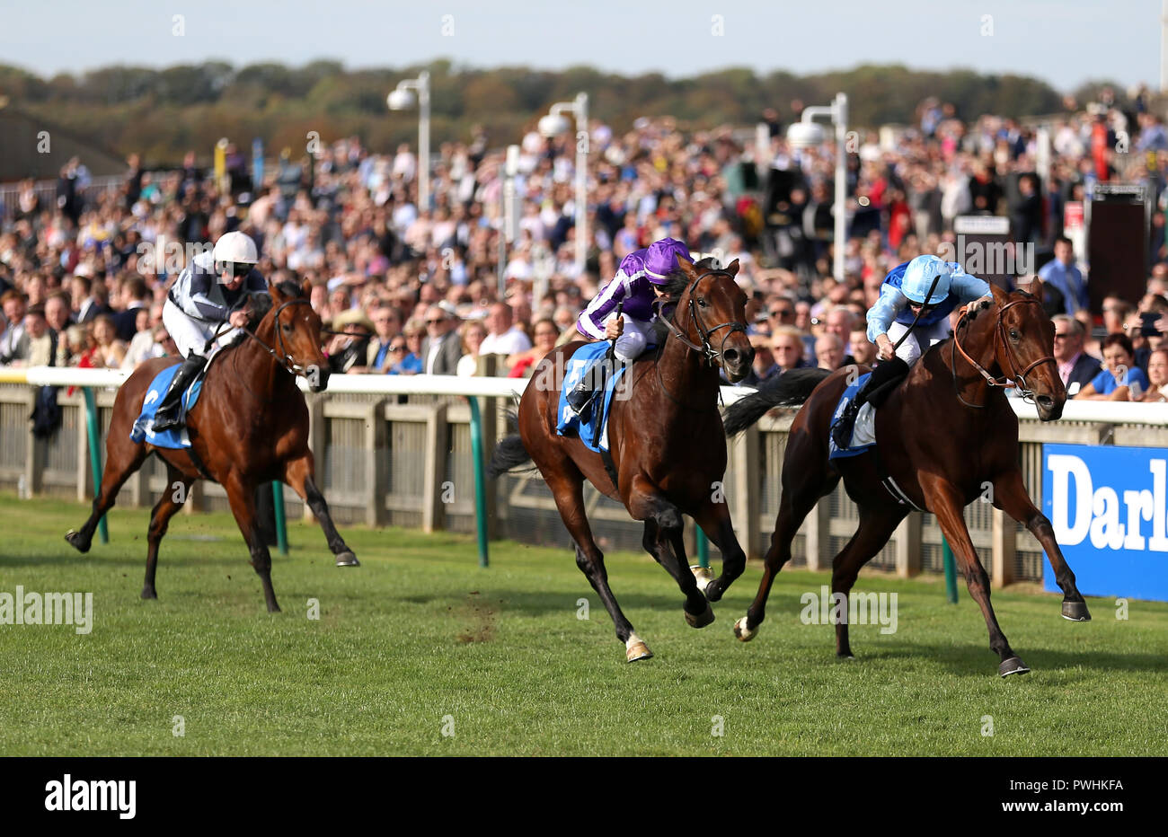 Le Roi (à droite) monté par Pierre-Charles Boudot (à droite) remporte le Godolphin Masar enjeux à venir de l'automne de l'ouest de l'Australie monté par W.M. Lordan Banque D'Images