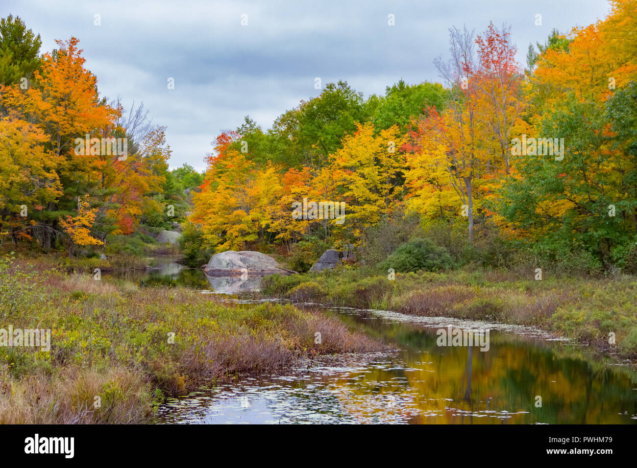 Paysage d'automne, Scenic Fall Background, automne en Ontario, Canada, monde naturel Banque D'Images