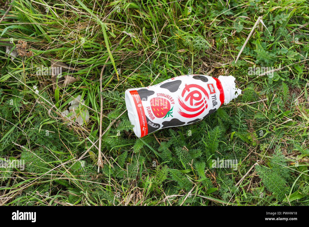 Éliminé Muller 118 ml Bouteille milkshake parmi l'herbe et les mauvaises herbes, Dorset, Royaume-Uni Banque D'Images