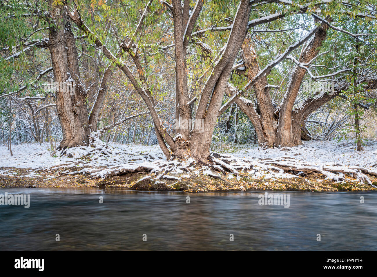 Première neige sur la Powder River en Californie avec une tapisserie de couleurs d'automne Banque D'Images