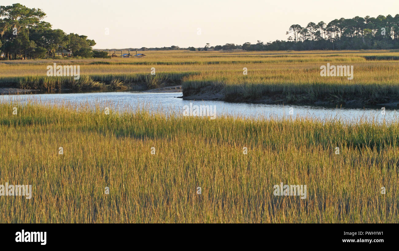 Marée basse dans un marais salé de la Caroline du Sud Banque D'Images