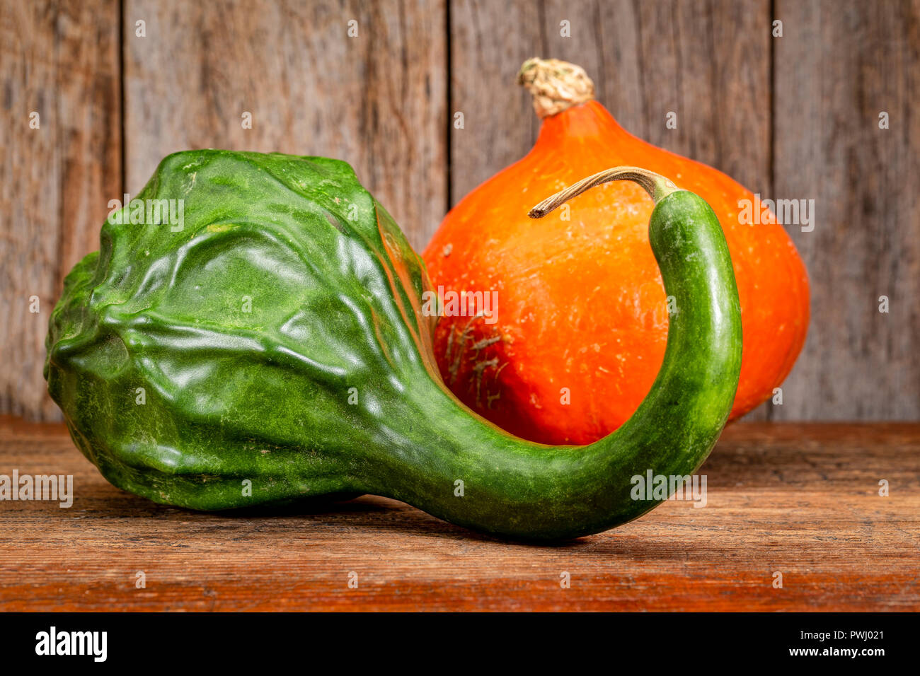 Dinosaure vert et red kuri squash contre bois grange rustique - décoration vacances d'automne Banque D'Images