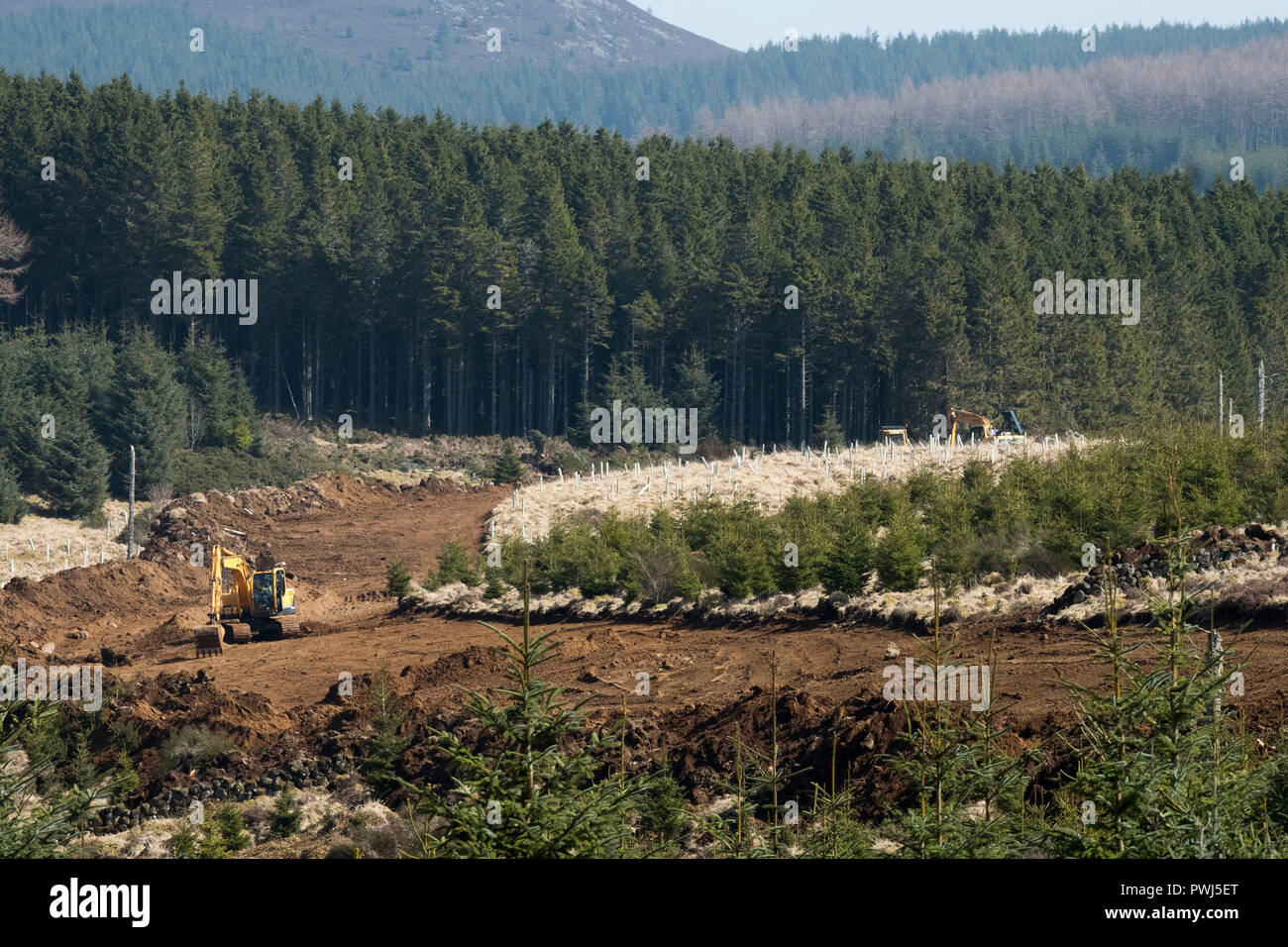 Fonctionnement de la commission des forêts en forêt près de Clashindarroch Huntly, Aberdeenshire. Banque D'Images