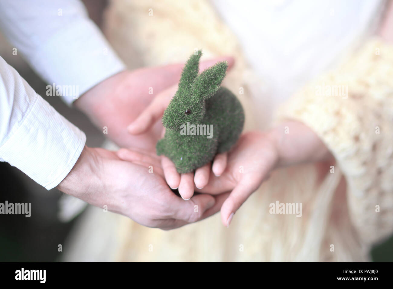 Close up.couple dans l'amour tenant un lapin jouet vert. Banque D'Images
