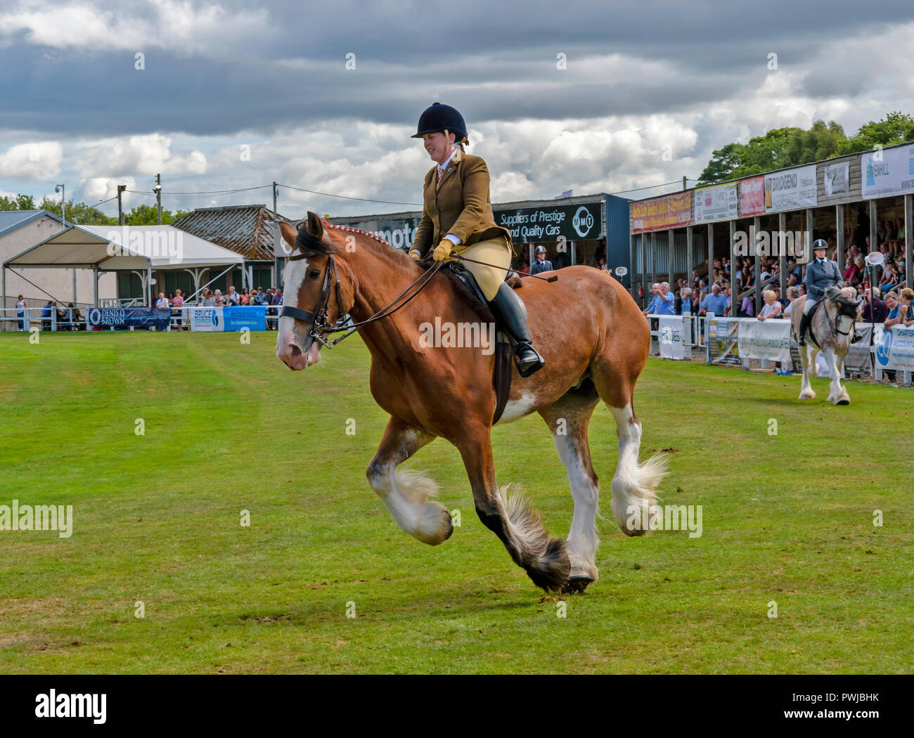 TURRIFF montrent l'ABERDEENSHIRE ECOSSE UN CLYDESDALE Cheval et cavalier galopant Banque D'Images