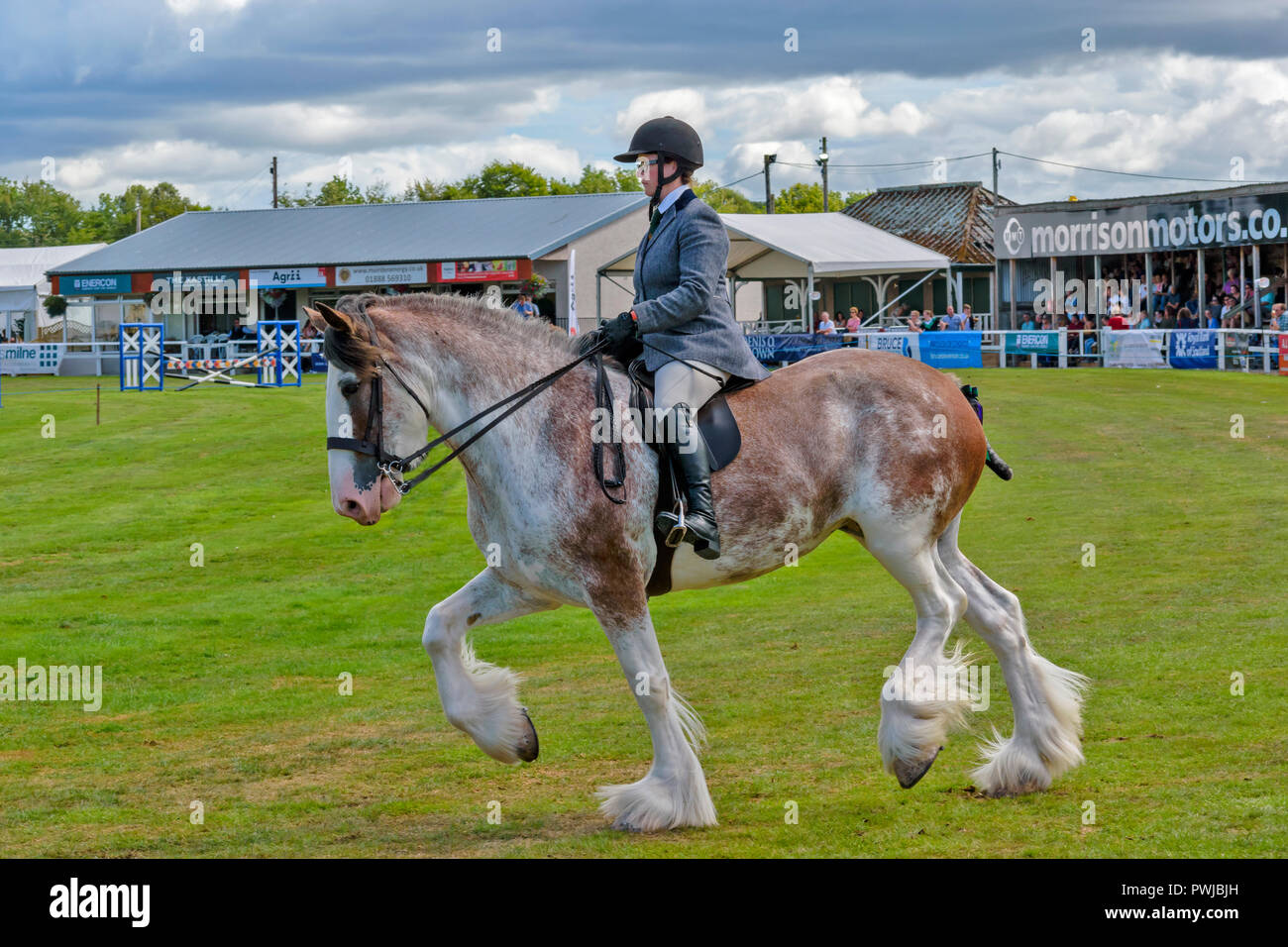 TURRIFF montrent l'ABERDEENSHIRE ECOSSE UN CLYDESDALE HORSE RIDER AVEC DES SPECTATEURS DANS LES GRADINS Banque D'Images
