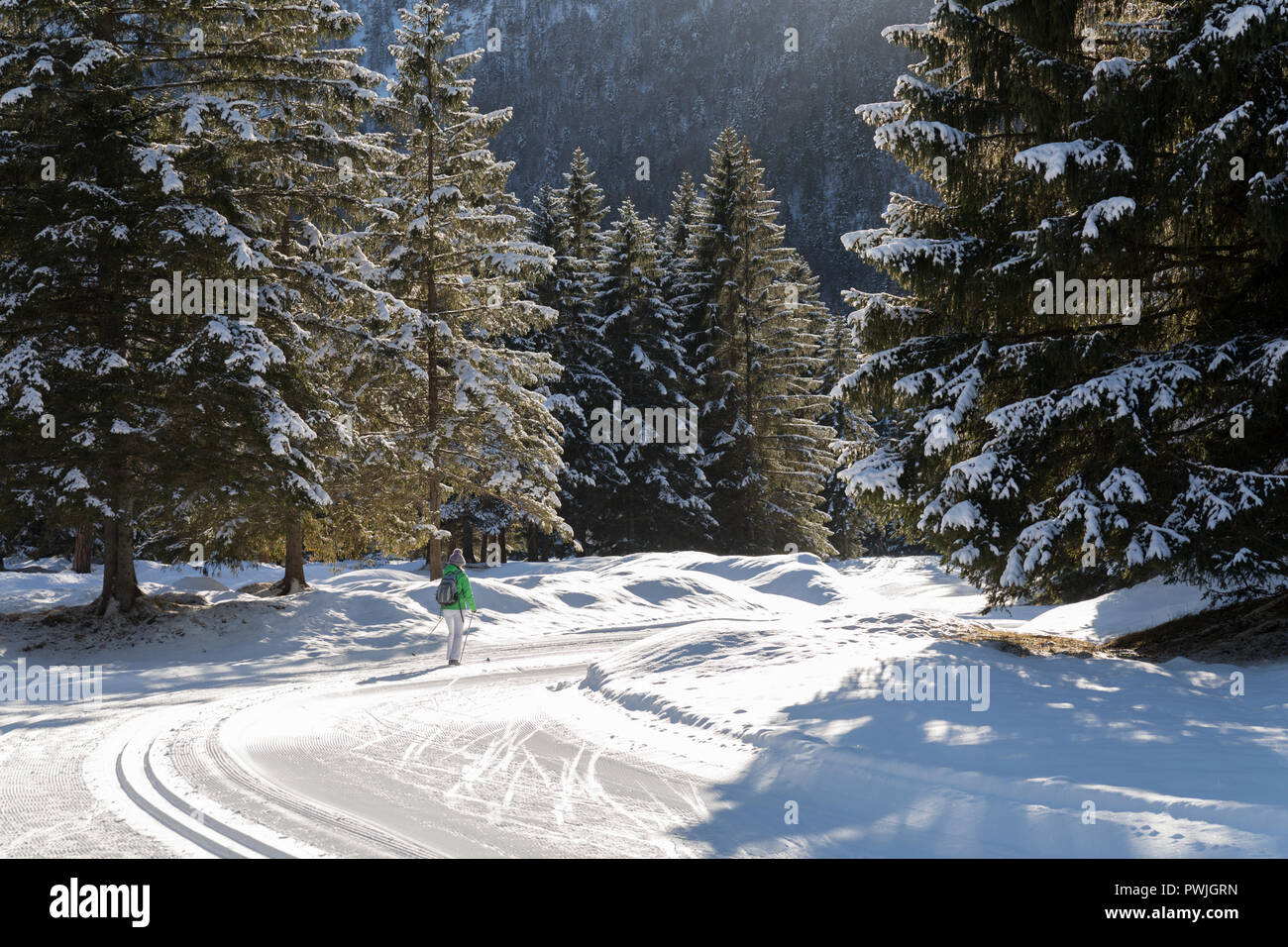 Ski de fond, Mittenwald, Allemagne Banque D'Images